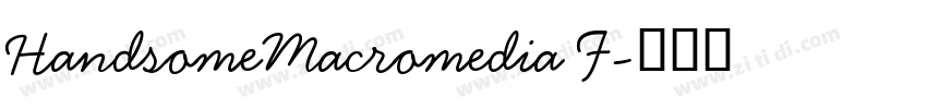 HandsomeMacromedia F字体转换